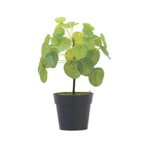 Kunstplant Pilea peperomioides - Hoogte 25cm