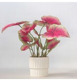 Kunstplant caladium – Hoogte 60cm
