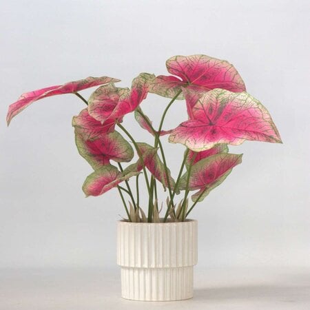 Kunstplant caladium – Hoogte 60cm