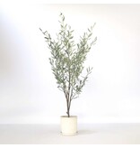 Kunstplant olijfboom - Hoogte 150cm