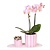 Cadeauset orchidee 'Pink S' - Phalaenopsis - Hoogte 30cm