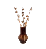 Droogbloemen - Set van 3 - Boeket 'Cotton branch' - Droogbloemen