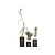 Luchtplantjes - Set van 3 - Tillandsia 'Burnt Wood Trio' - Hoogte 30-35cm