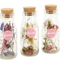 Droogbloemen - Set van 3 - Dryflower 'Small Bottles' - Droogbloemen