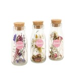 Droogbloemen - Set van 3 - Dryflower 'Small Bottles' - Droogbloemen