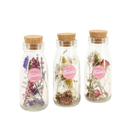 Droogbloemen - Set van 3 - Dryflower 'Small Bottles' - Droogbloemen
