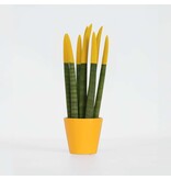 Afrikaanse Speerplant - Sansevieria cylindrica - Hoogte 20-40cm - Pot 9cm
