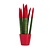 Afrikaanse Speerplant - Sansevieria cylindrica - Hoogte 20-40cm - Pot 9cm