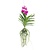 Cerice Orchidee - Vanda 'Tayanee Cerise' - Hoogte 55-65cm