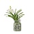 Witte Orchidee met vaas - Vanda 'White' - Hoogte 40-50cm - ⌀14cm