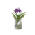 Blauwe orchidee - Vanda 'Blue' - Hoogte 40-50cm - ⌀14cm