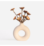 Droogbloemen - Set van 10 - Boeket 'Protea Compacta' - Droogbloemen