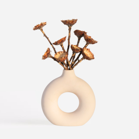 Droogbloemen - Set van 10 - Boeket 'Protea Compacta' - Droogbloemen