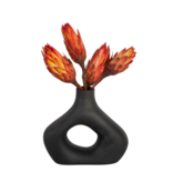 Droogbloemen - Set van 5 - Boeket 'Protea Pendula Red' - Droogbloemen