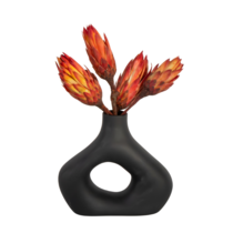 Droogbloemen - Set van 5 - Boeket 'Protea Pendula Red' - Droogbloemen