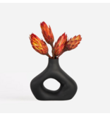 Droogbloemen - Set van 5 - Boeket 'Protea Pendula Red' - Droogbloemen