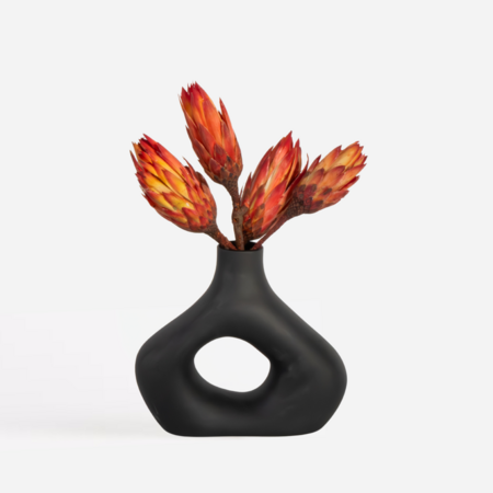 Droogbloemen - Set van 5 - Boeket 'Protea Pendula Red' - Droogbloemen