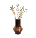 Droogbloemen - Boeket 'Lagurus Bunny Ears'