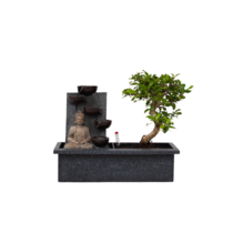Bonsai met Buddha - Bonsai - Hoogte 25-35cm - ⌀29cm