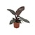 Philodendron - Philodendron 'Black Cardinal' - Hoogte 20-30cm - ⌀12cm