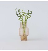 Geluksbamboe - Set van 6 - Dracaena sanderiana - Hoogte 40-50cm - ⌀2cm