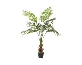 Artificial Plants / Dried Flowers