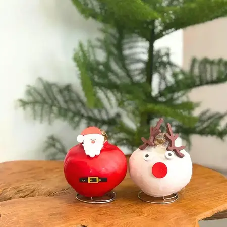 Wax Santa Mix' - Amaryllis - Set of 2 - Bring even more coziness into your home - Garden Select