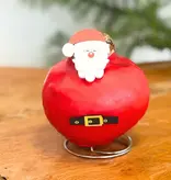 Wax Santa Mix' - Amaryllis - Set van 2 - Breng nog meer gezelligheid in je woning - Garden Select