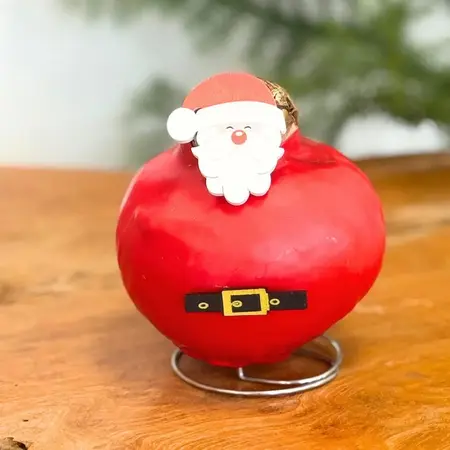 Wax Santa Mix' - Amaryllis - Set of 2 - Bring even more coziness into your home - Garden Select