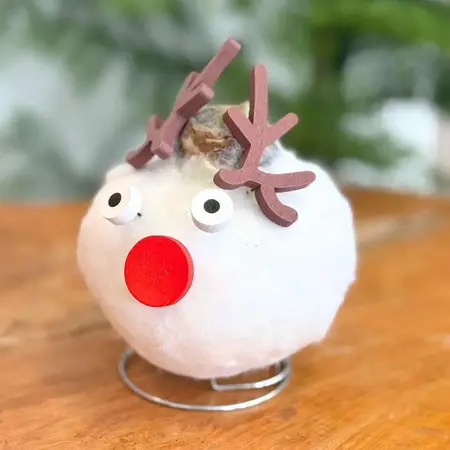 Wax Santa Mix' - Amaryllis - Set van 2 - Breng nog meer gezelligheid in je woning - Garden Select