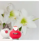 Wax Santa Mix' - Amaryllis - Set van 2 - Breng nog meer gezelligheid in je woning - Garden Select