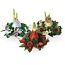 'Christmas Wreath' - Amaryllis - Mix of 3 - Bring extra atmosphere at Christmas - Garden Select