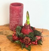 Weihnachtskranz – Amaryllis – 3er-Mix – Sorgt für festliche Stimmung zu Weihnachten – Garden Select
