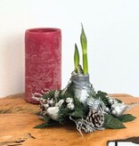 Weihnachtskranz – Amaryllis – 3er-Mix – Sorgt für festliche Stimmung zu Weihnachten – Garden Select