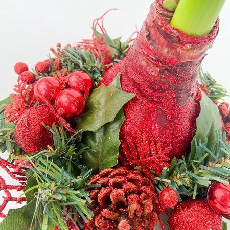 Weihnachtskranz – Amaryllis – 3er-Mix – Sorgt für festliche Stimmung zu Weihnachten – Garden Select