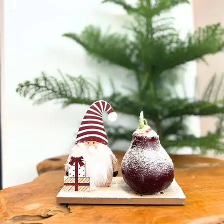 'Winter Wonderland' - Amaryllis - Mix van 3 - Leuk Cadeau voor hem en haar - Garden Select