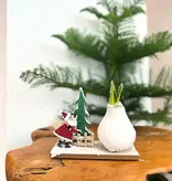 „Winterwunderland“ – Amaryllis – 3er-Mix – Schönes Geschenk für Sie und Ihn – Garden Select