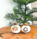 'Porcelain Wax Mix' - Amaryllis - Set of 2 - Beautiful Amaryllis Bulbs for Extra Atmosphere in Your Home!