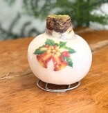 'Porzellanwachsmischung' - Amaryllis - 2er-Set - Wunderschöne Amarylliszwiebeln für ein besonders stimmungsvolles Ambiente in Ihrem Zuhause!