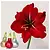 Glitter - Amaryllis - Mix van 3