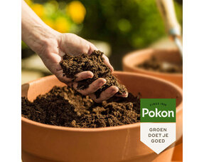 Potting Soil