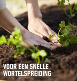 Compo Sana sowing and cutting soil 20 litres - For good root development and even germination.