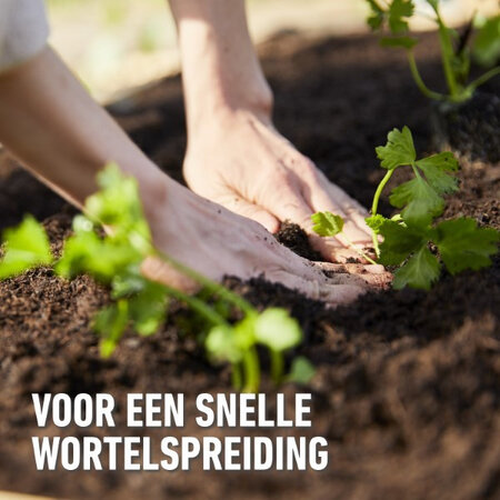 Compo Sana sowing and cutting soil 20 litres - For good root development and even germination.