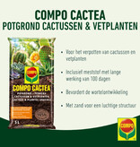 Compo Sana Kakteen- und Sukkulentenerde 5 l - Dünger Jetzt bei Garden Select kaufen!