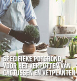 Compo Sana Kakteen- und Sukkulentenerde 5 l - Dünger Jetzt bei Garden Select kaufen!