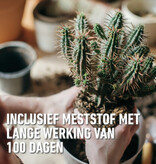 Compo Sana Cactus & Vetplanten Potgrond 5 lt - Meststoffen Koop Je Bij Garden Select!