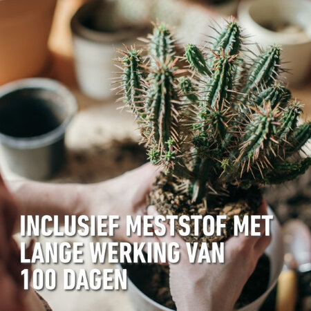 Compo Sana Cactus & Vetplanten Potgrond 5 lt - Meststoffen Koop Je Bij Garden Select!