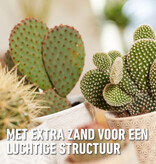 Compo Sana Cactus & Vetplanten Potgrond 5 lt - Meststoffen Koop Je Bij Garden Select!