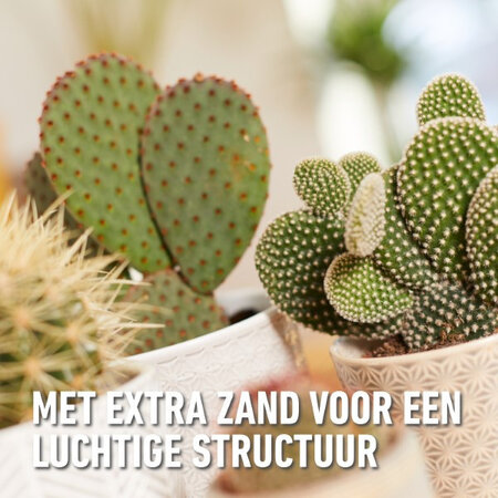 Compo Sana Cactus & Vetplanten Potgrond 5 lt - Meststoffen Koop Je Bij Garden Select!