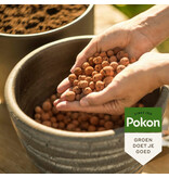 Pokon Kaufen Sie Hydrograins 20 l im Online-Gartencenter Garden Select